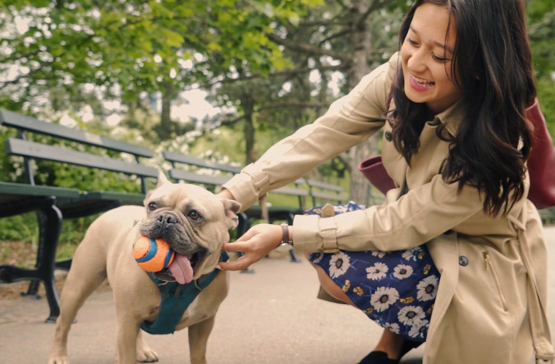 QUT - Graduate Success advertising campaign